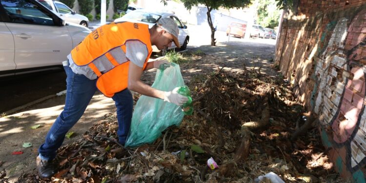 Mutirões contra a dengue resultaram em visitas a 53,8 mil casas
