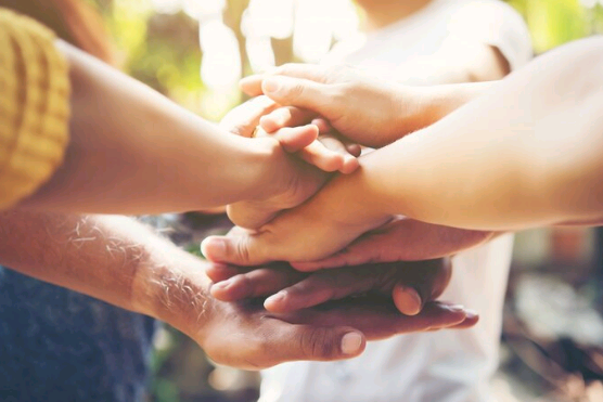 FEAC e sustentabilidade – por José Pedro Martins