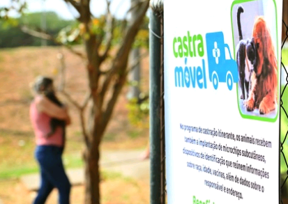 Campinas abre agenda para castrar cães e gatos na região do Costa e Silva e Taquaral