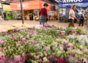 Mercado de Flores da Ceasa Campinas abrirá no feriado