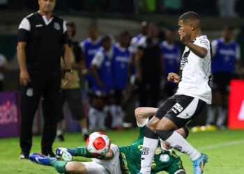 "Não podemos dar ao luxo de ficar assistindo ao Palmeiras ou qualquer adversário jogar", advertiu Brigatti. Foto: Fábio Menotti/Palmeiras