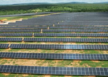 Usinas fotovoltaicas da Hy Brazil, uma das geradoras da FIT Energia. Foto: Divulgação
