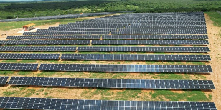Usinas fotovoltaicas da Hy Brazil, uma das geradoras da FIT Energia. Foto: Divulgação