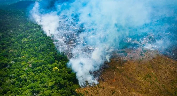 Brasil teve queda de 36% no índice de desmatamento, mas situação ainda preocupa - Foto: Divulgação