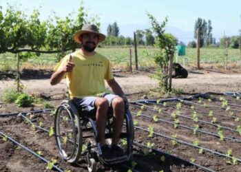 Tornar o campo acessível a pessoas com deficiência é desafio proposto em reunião de lideranças rurais - Foto: FarmHability
