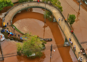 Leptospirose: como se prevenir em enchentes e chuvas intensas