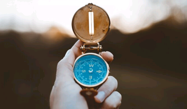 Vida sem Causa – por Luis Norberto Pascoal