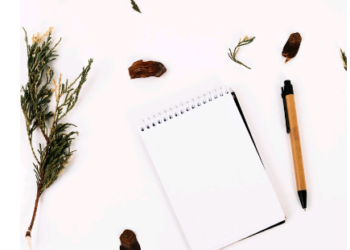 Palavras: A arte de se expressar – por Ludimila Rezende Santos