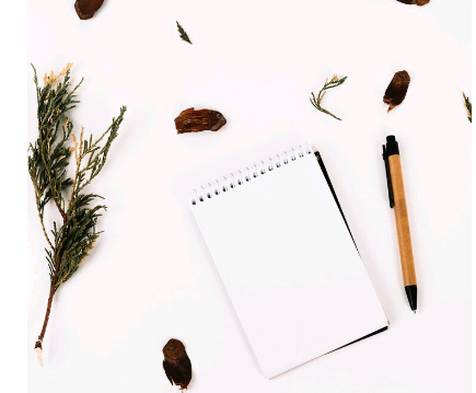 Palavras: A arte de se expressar – por Ludimila Rezende Santos