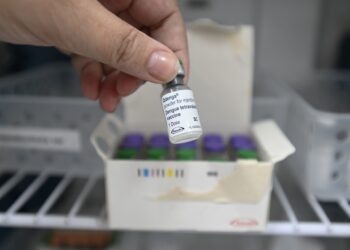 Vacinação contra a gripe e a dengue avança em Campinas