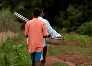 MPT capacita municípios da região contra trabalho escravo