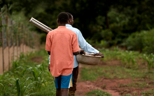 MPT capacita municípios da região contra trabalho escravo