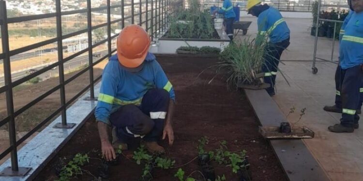 Novo Paço Municipal de Hortolândia terá jardim sensorial; cidade completa 33 anos