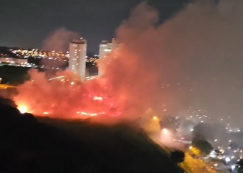 Incêndio de grandes proporções ameaça área de proteção no Parque Prado; veja imagens