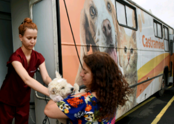 Campinas abre agenda para castração gratuita de cães e gatos nas regiões do São Bernardo e Vila Industrial