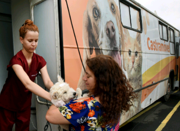 Campinas abre agenda para castração gratuita de cães e gatos nas regiões do São Bernardo e Vila Industrial