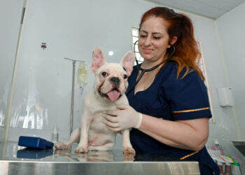 Consultório Veterinário Móvel atende Região do San Diego a partir de terça (21)