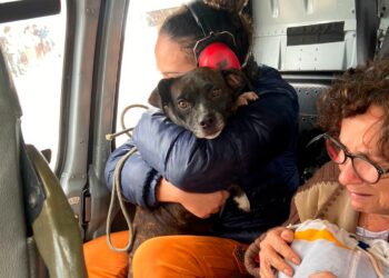 Mais de 80 mil pessoas estão desabrigadas no Rio Grande do Sul