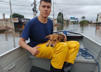 Equipe de Campinas ajuda no resgate de pessoas e animais em Canoas. Foto: Divulgação
