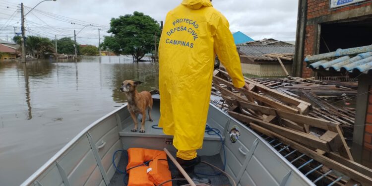 Equipe de Campinas em missão humanitária na cidade de Canoas (RS). Fotos: Divulgação