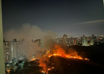 Incêndio de grandes proporções ameaça área de proteção no Parque Prado; veja imagens