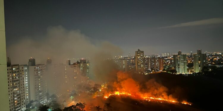 Incêndio de grandes proporções ameaça área de proteção no Parque Prado; veja imagens