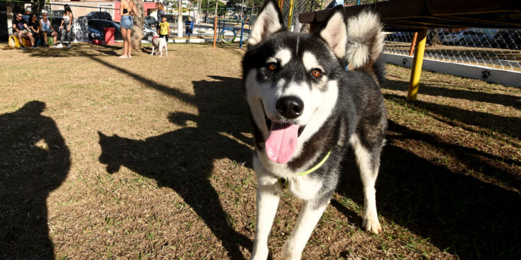 Prefeitura entrega Parcão na Vila Joaquim Inácio e beneficia 30 mil pessoas