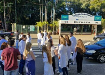 Alunos realizam ações de prevenção à febre maculosa em Campinas