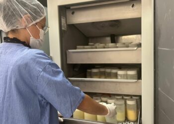 Estoque baixo: Maternidade de Campinas pede doação de leite materno