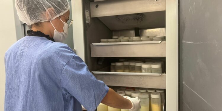 Estoque baixo: Maternidade de Campinas pede doação de leite materno