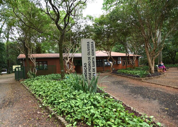 Programa de estágio da Fundação José Pedro de Oliveira tem inscrições prorrogadas até 24 de maio