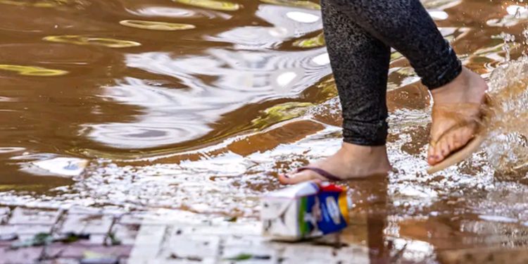 Com recuo da água, Porto Alegre enfrenta lixo nas ruas, ratos e insetos