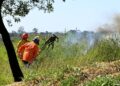 Treinamento realizado pela Defesa Civil de Campinas: tempo seco favorece queimadas. Foto: Carlos Bassan/PMC