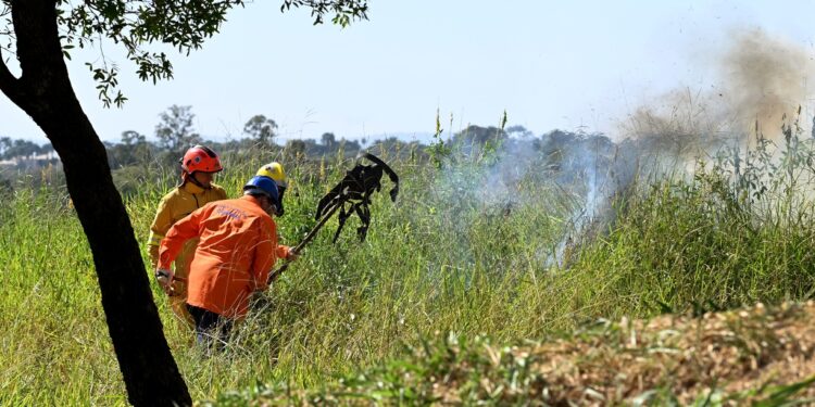Treinamento realizado pela Defesa Civil de Campinas: tempo seco favorece queimadas. Foto: Carlos Bassan/PMC