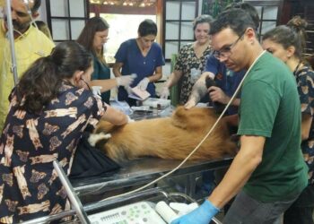 Parceria entre Zoológico de Americana e FAM promove saúde animal