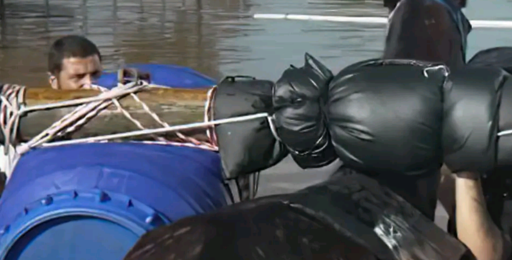 Mais de 10 mil animais já foram resgatados das enchentes do RS