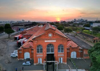 Representatividade feminina ganha destaque no Campinas Innovation Week