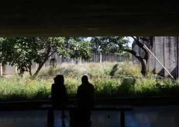 MEC aceita revogar portaria se professores de federais acabarem greve