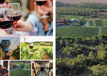 Brasília sedia megaevento de enologia, enoturismo e viticultura em julho