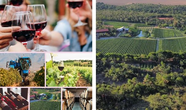 Brasília sedia megaevento de enologia, enoturismo e viticultura em julho