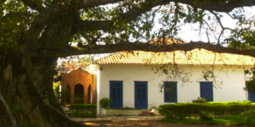 Motivos para amar Campinas – Solidariedade e Voluntariado