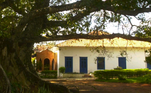 Motivos para amar Campinas – Solidariedade e Voluntariado