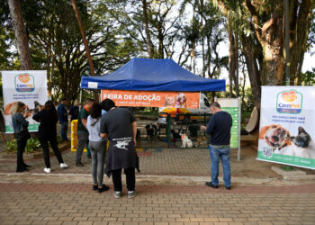 Feira de Adoção de aninais volta a ser realizada na Lagoa do Taquaral