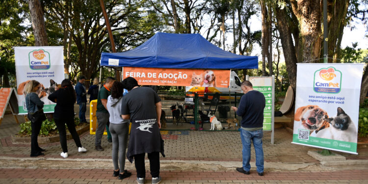 A feira de adoção de animais será realizada duas vezes por mês na Lagoa do Taquaral. Fotos: Rogério Capela/PMC