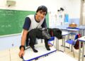 Nycolas Lopes Leite, de 16 anos, e a cadela da raça labrador Lady, de 6 meses: parceria - Foto: Carlos Bassan/PMC