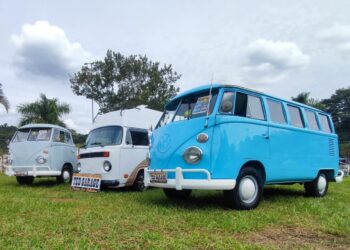 Parque Ecológico de Campinas recebe encontro de carros antigos