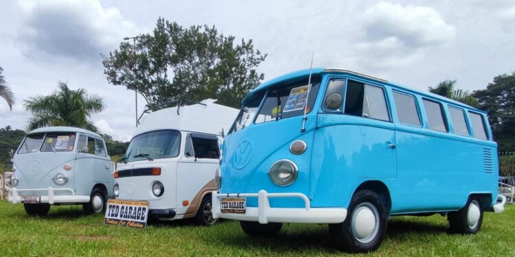 Parque Ecológico de Campinas recebe encontro de carros antigos