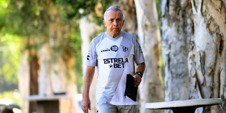 Sem Elvis, Ponte tenta manter 100% em casa com Nelsinho para continuar fora do Z4