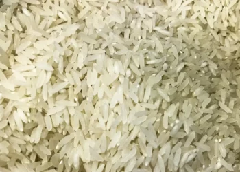 Conab compra 263,3 mil toneladas de arroz importado em leilão