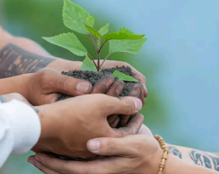 Artigo – Dia Mundial do Meio Ambiente: restauração de terras, desertificação e resiliência à seca – por Valter Casarin